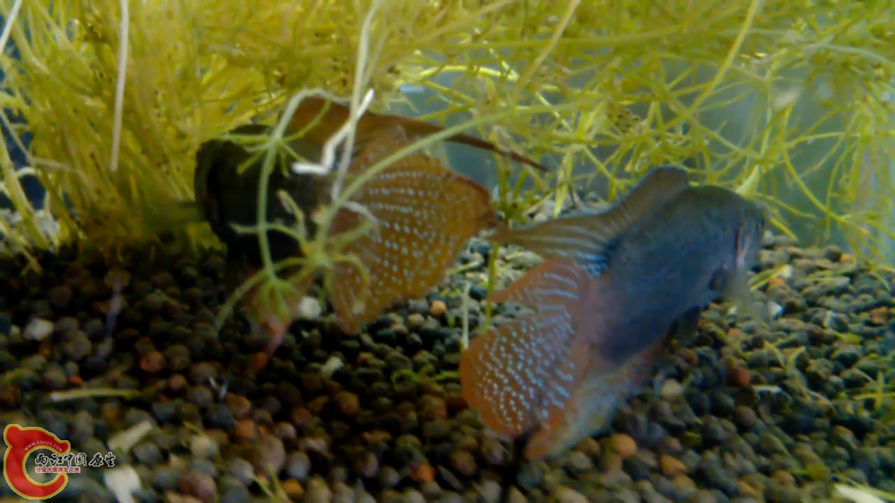 VID_20140507_10[00_05_18][20140507-212326-5].JPG