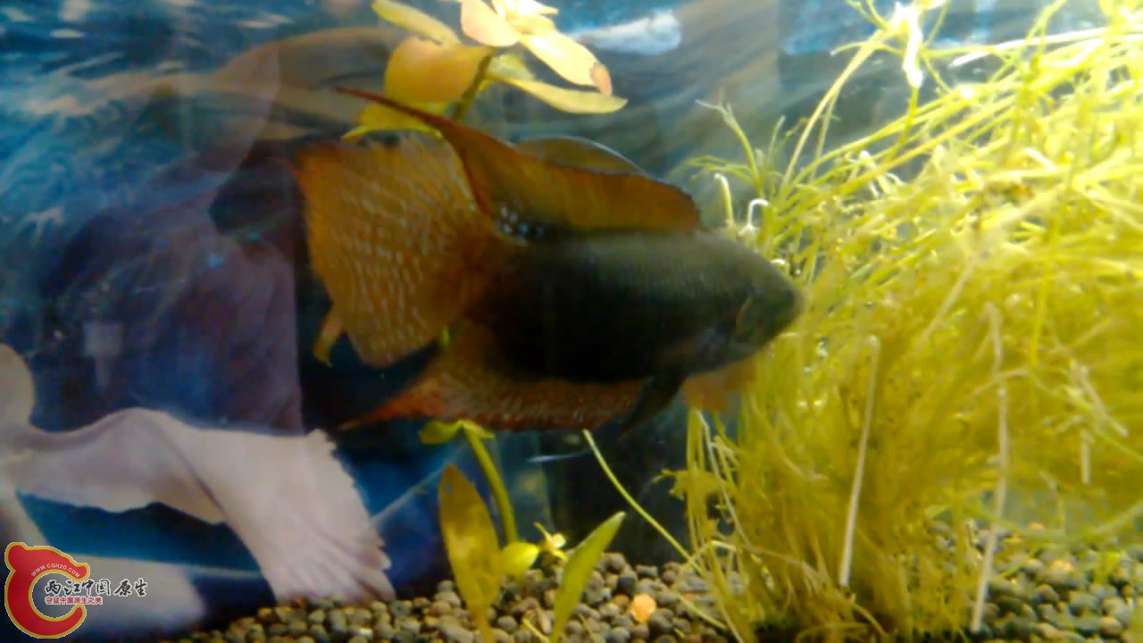 VID_20140507_10[00_07_25][20140507-212614-2].JPG