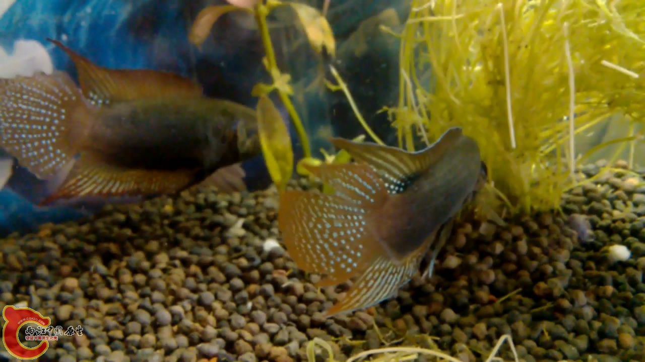VID_20140507_10[00_10_19][20140507-212814-5].JPG