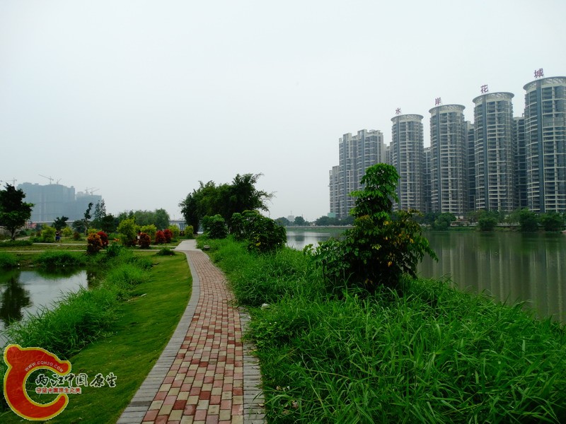 DSC00204.jpg