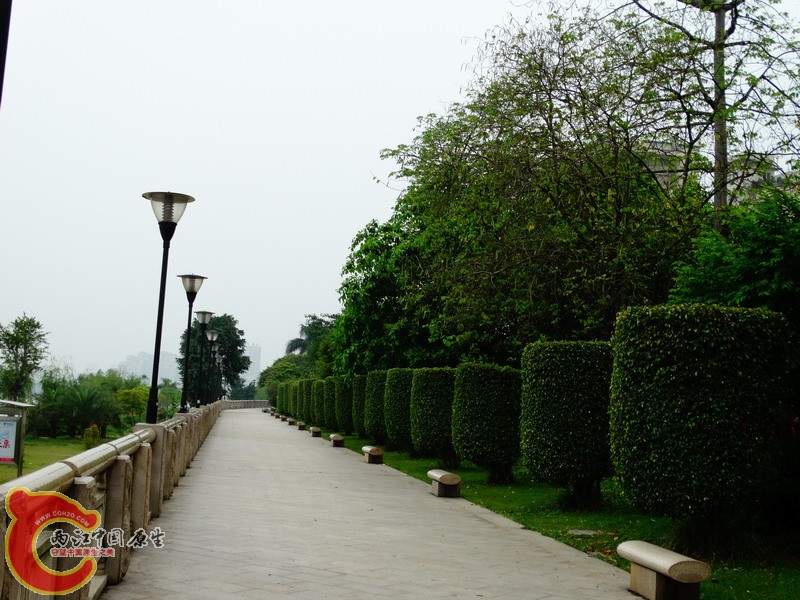 DSC00213.jpg