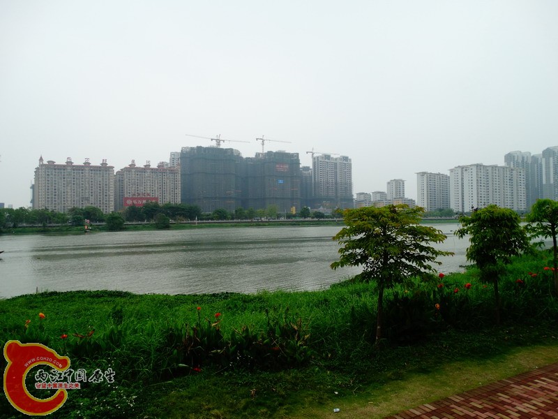 DSC00216.jpg