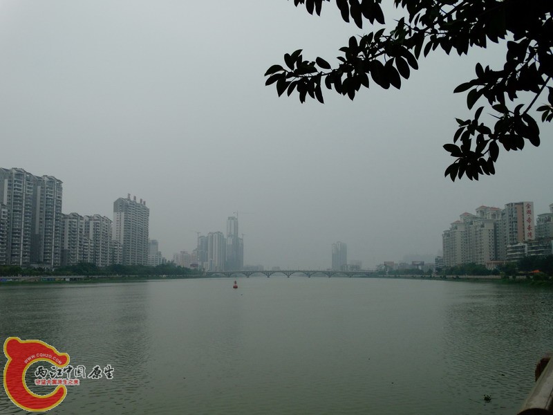 DSC00244.jpg