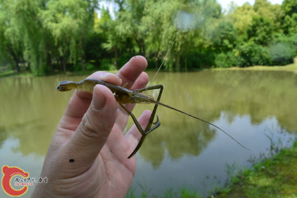 original_6eeP_496900009386125d.jpg original_6eeP_496900009386125d.jpg