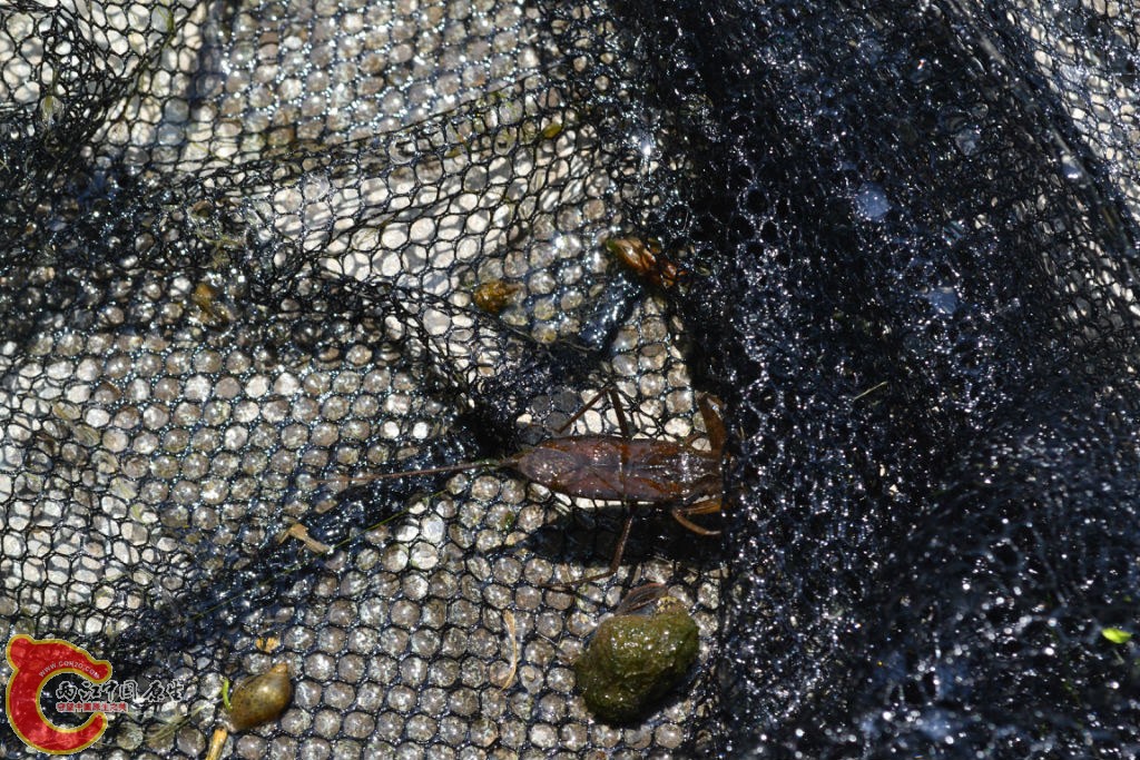 original_qMU2_49b900009375125d.jpg original_qMU2_49b900009375125d.jpg