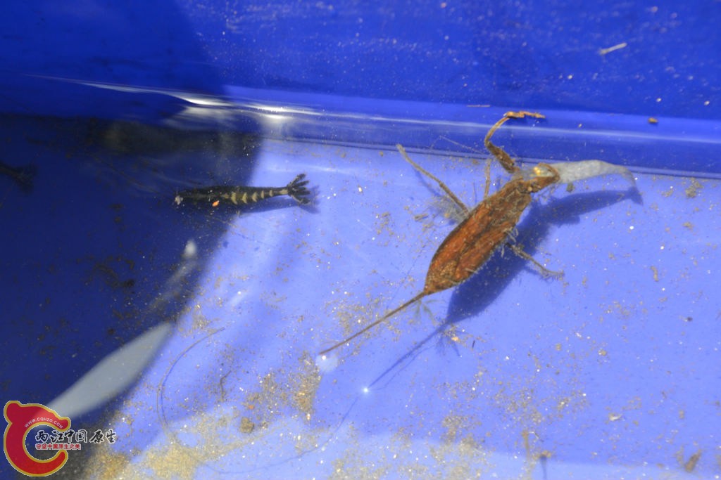 original_mJQa_713400008fb41191.jpg original_mJQa_713400008fb41191.jpg