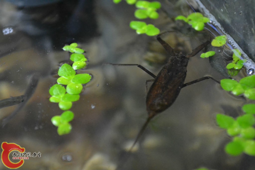 original_YQ8Y_583300009a1e118c.jpg original_YQ8Y_583300009a1e118c.jpg