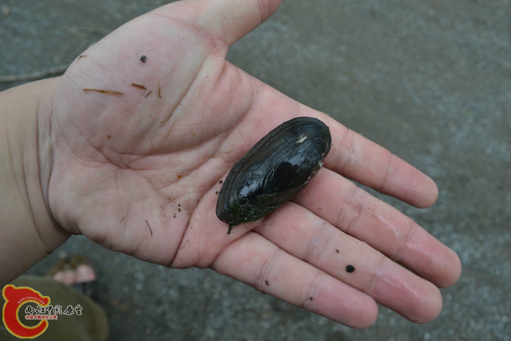 original_g8AI_6e5200000c5a125f.jpg original_g8AI_6e5200000c5a125f.jpg