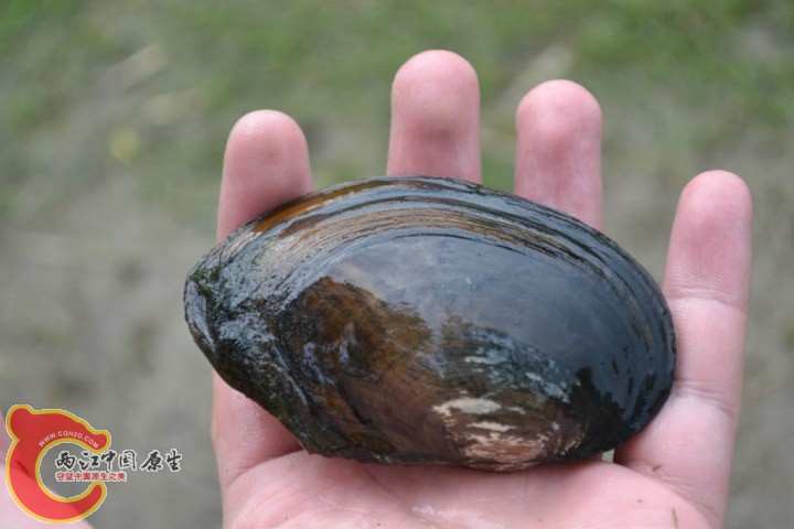 large_xfdp_570100009a60118c.jpg large_xfdp_570100009a60118c.jpg