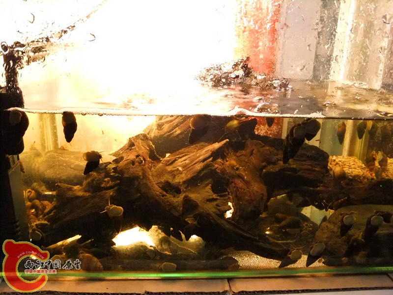 DSCF8495.JPG