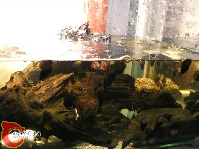 DSCF8496.JPG