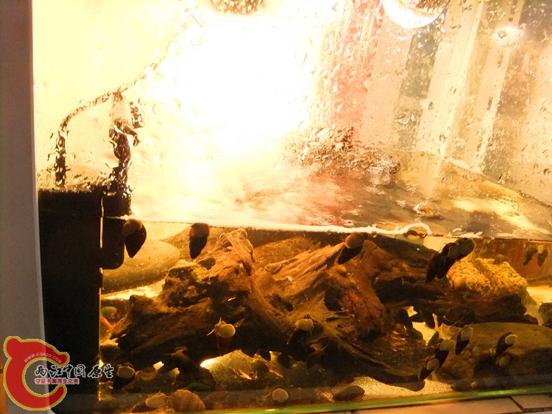 DSCF8514.JPG