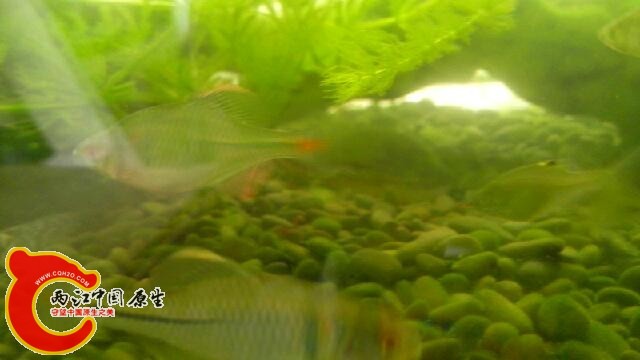 IMG_20140509_140718.jpg