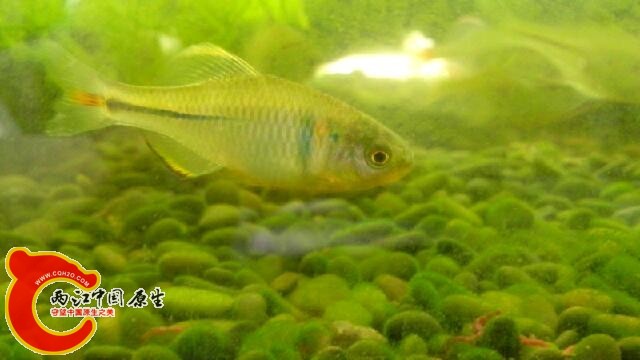 IMG_20140509_140611.jpg
