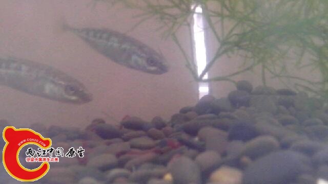 IMG_20140509_141123.jpg