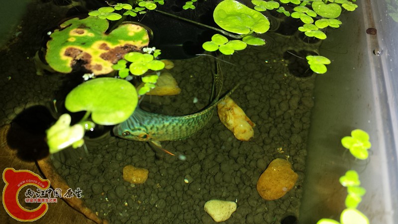 20140504_185924_副本.jpg