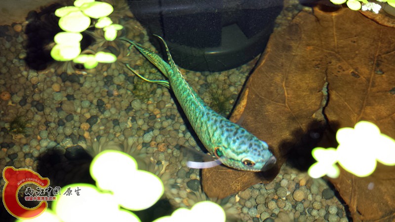 20140510_114820_副本.jpg