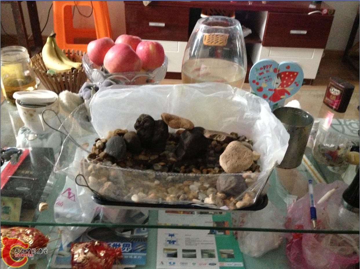 子陵 金鱼住所.JPG