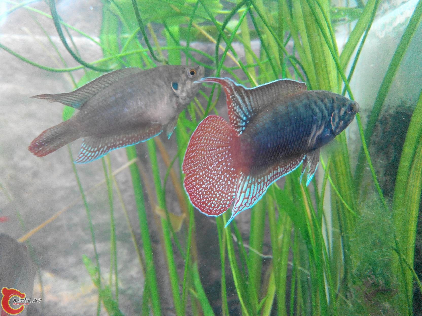 20140511111732.jpg