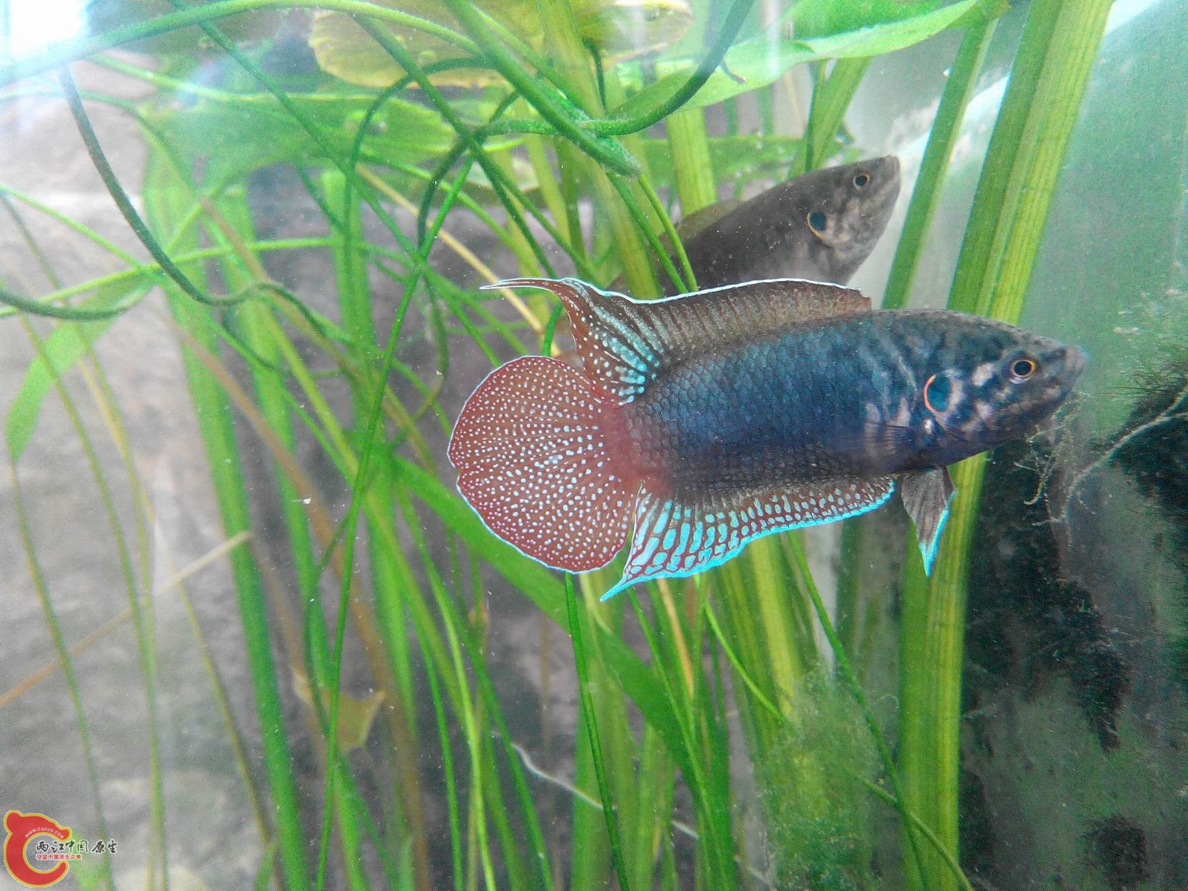 20140511111740.jpg
