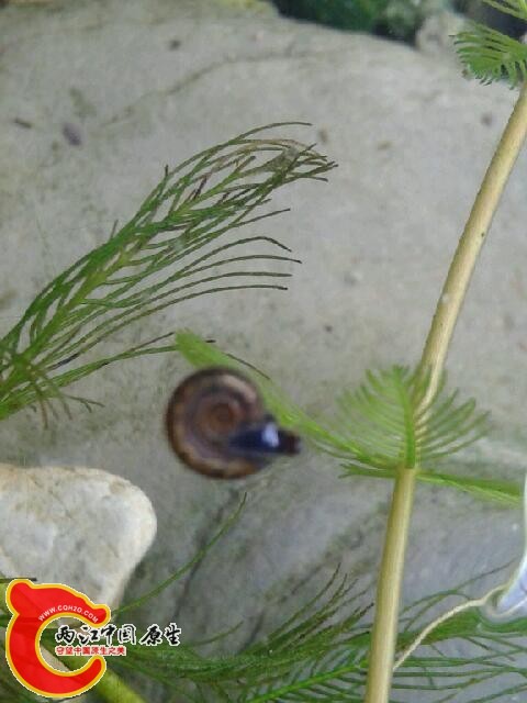 20140517_093849-1.jpg