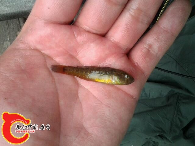 20140512_121345.jpg