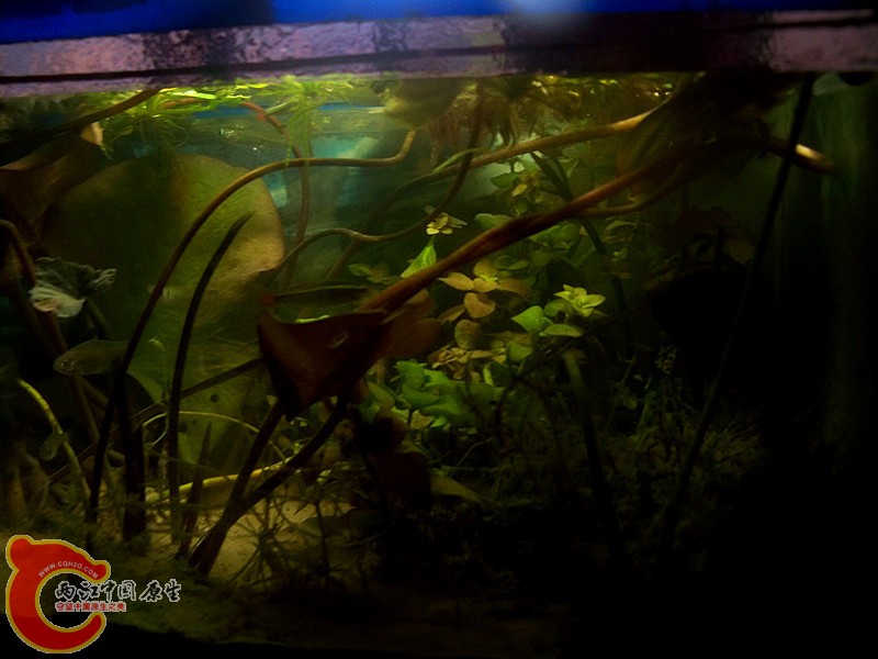 100_9222.JPG