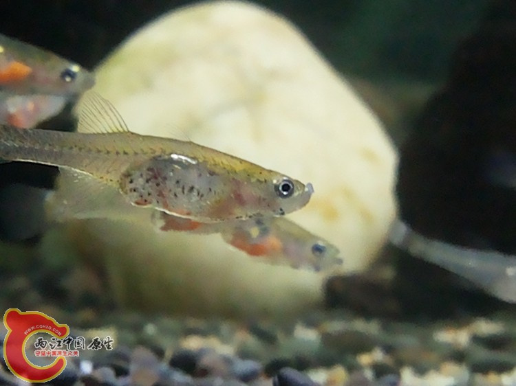 20140519_220125.jpg