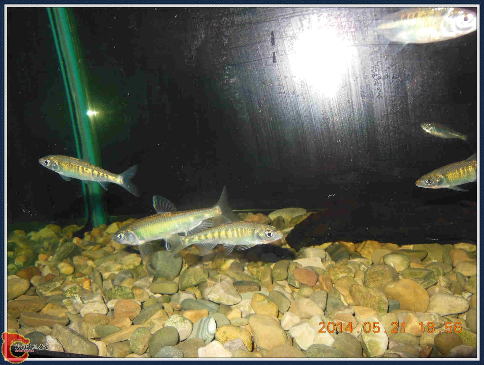 DSCN3692_meitu_6.jpg