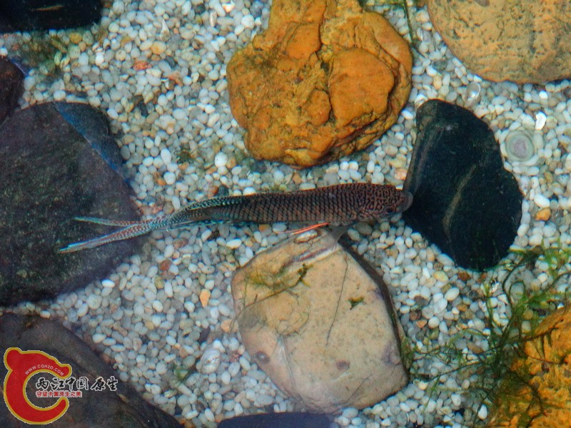 DSC00355.jpg
