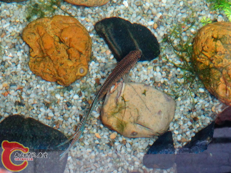 DSC00356.jpg