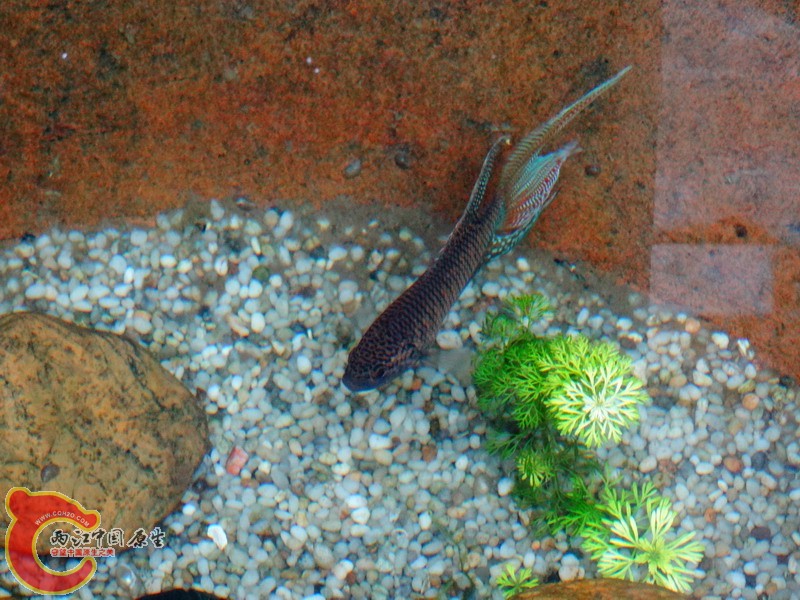 DSC00358.jpg