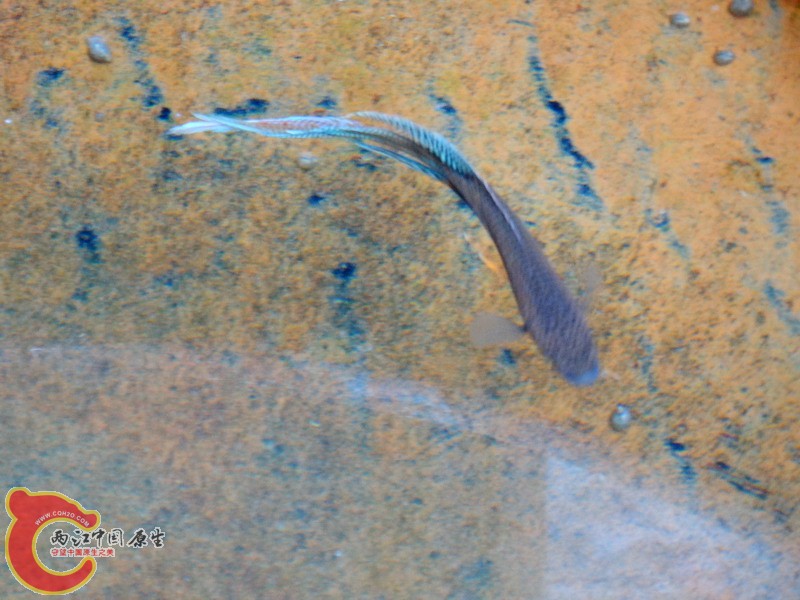DSC00359.jpg