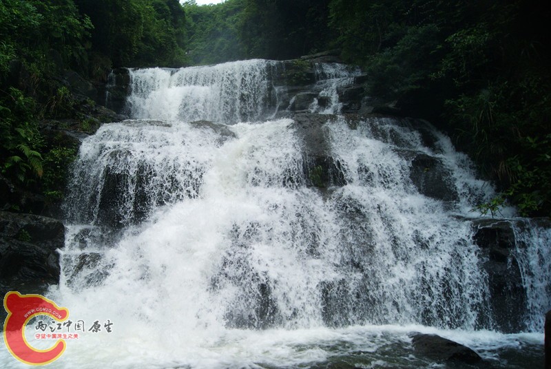 109.jpg