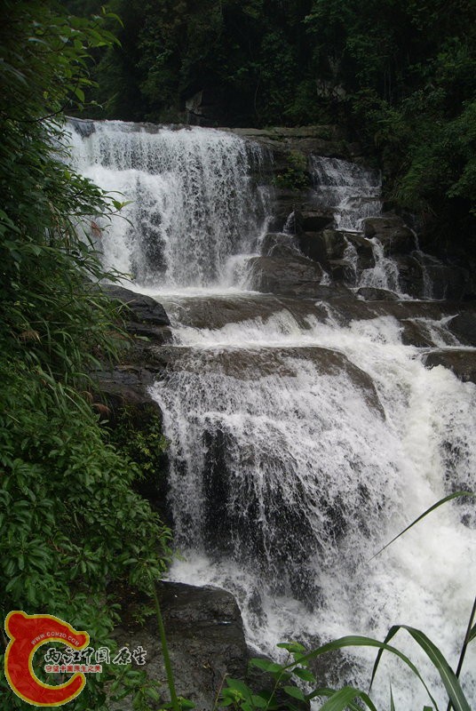 114.jpg