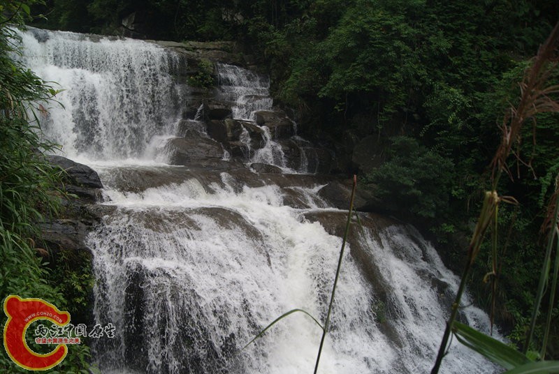 115.jpg