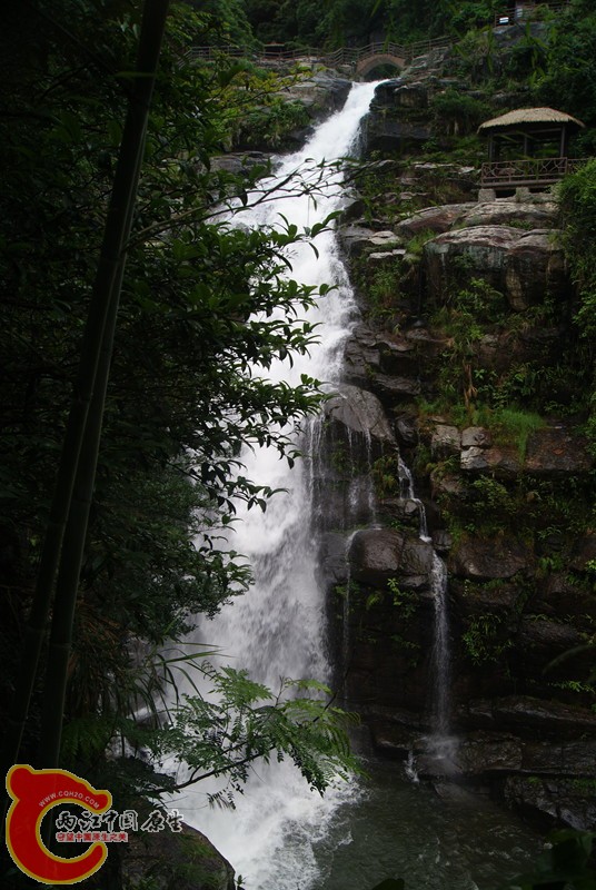 119.jpg