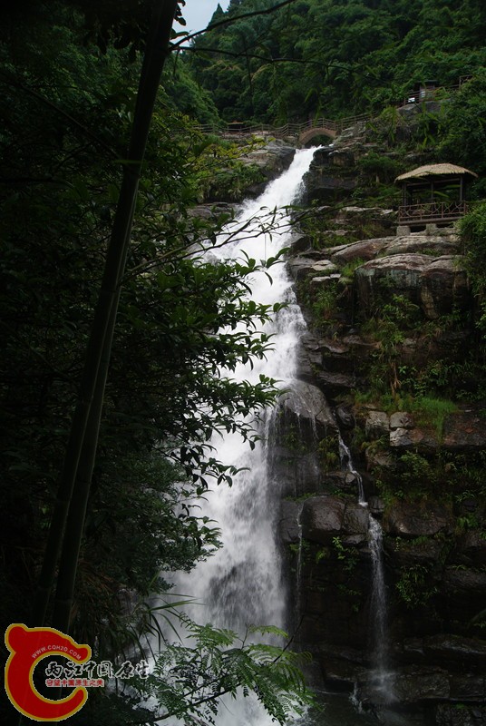 120.jpg