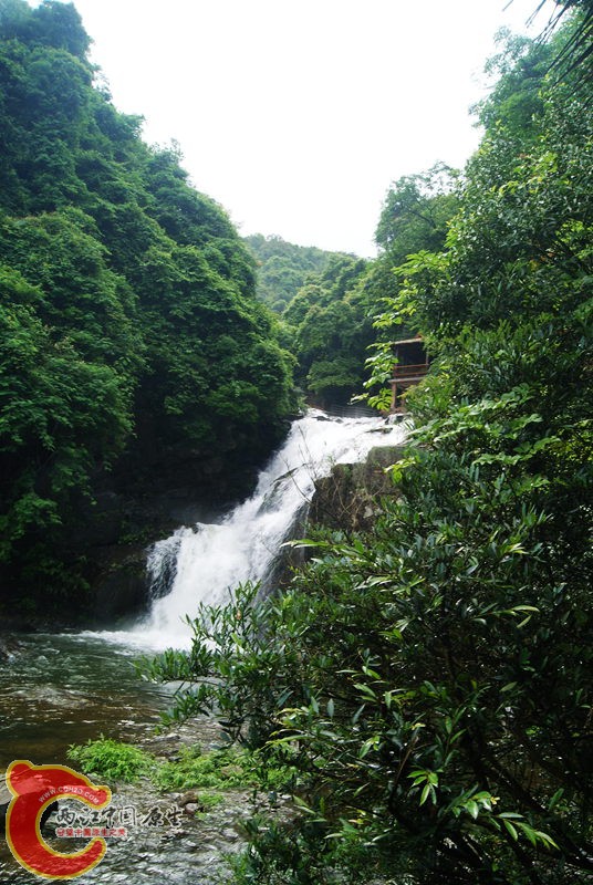 135.jpg