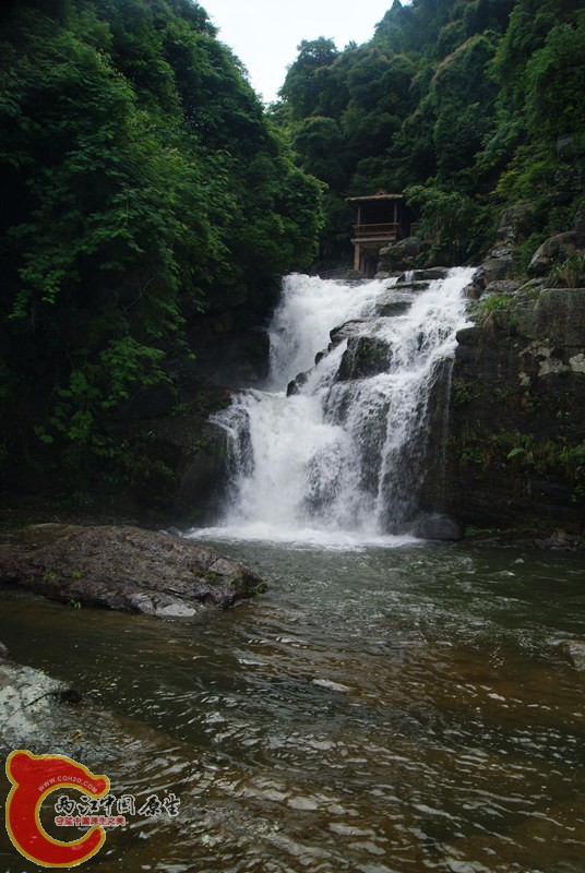 137.jpg