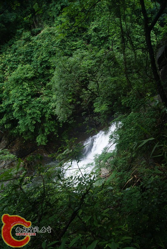153.jpg