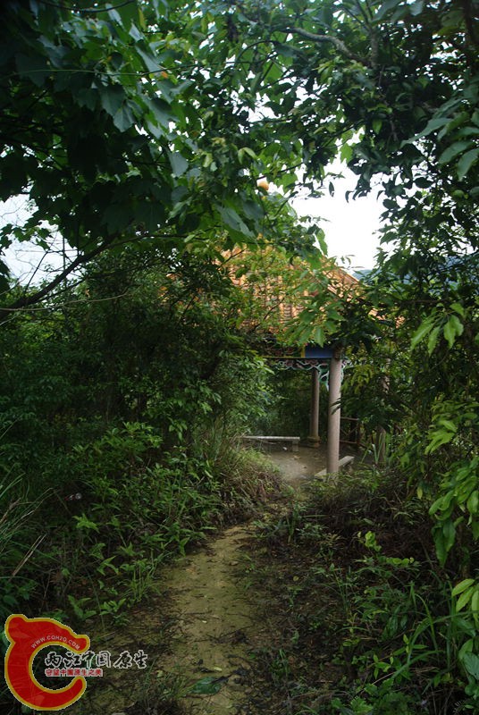 162.jpg