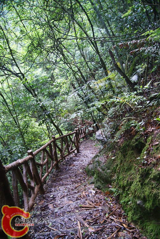 166.jpg