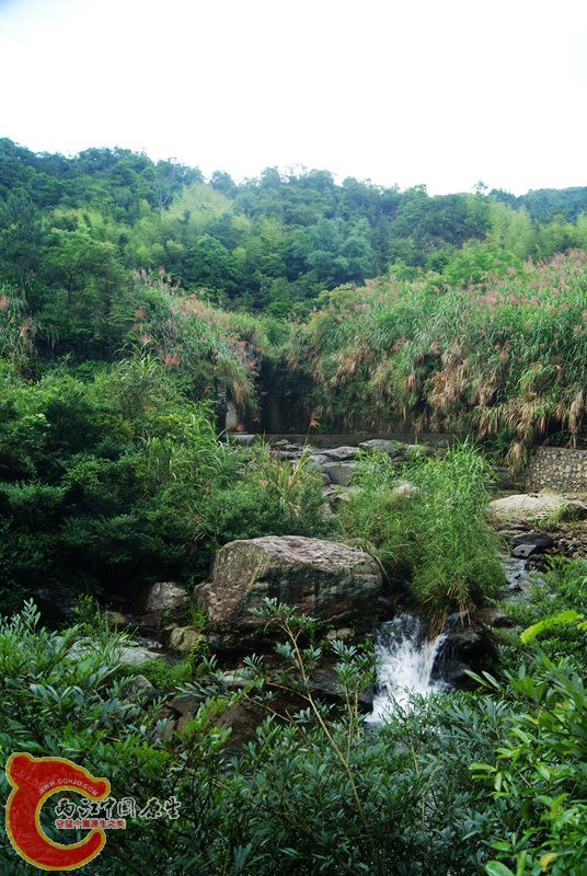 168.jpg