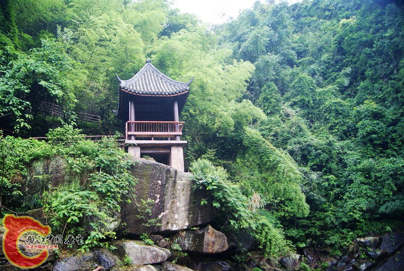 173.jpg