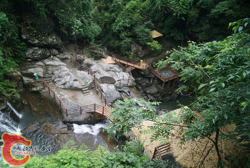 186.jpg