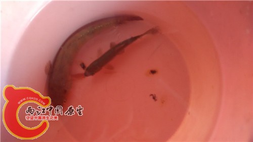 照片 008.jpg