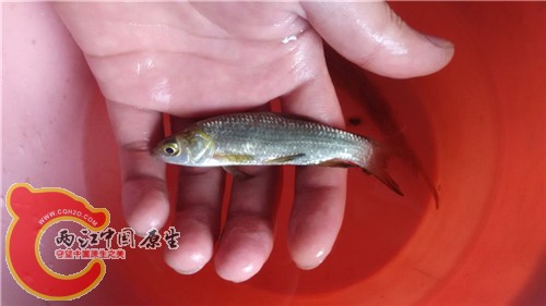 照片 007.jpg