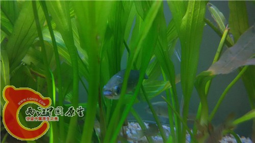 照片 011.jpg