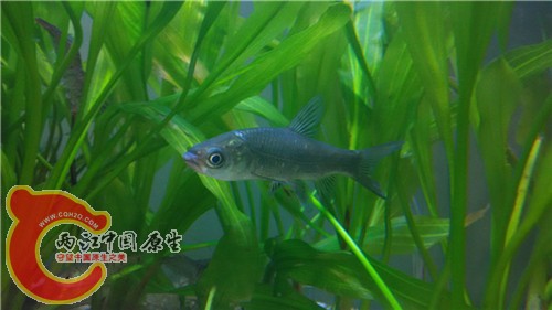 照片 012.jpg
